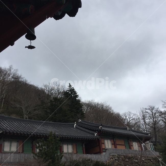 절,산사,절풍경,사찰,산절,절종,산속절,지리산,법계사,풍경