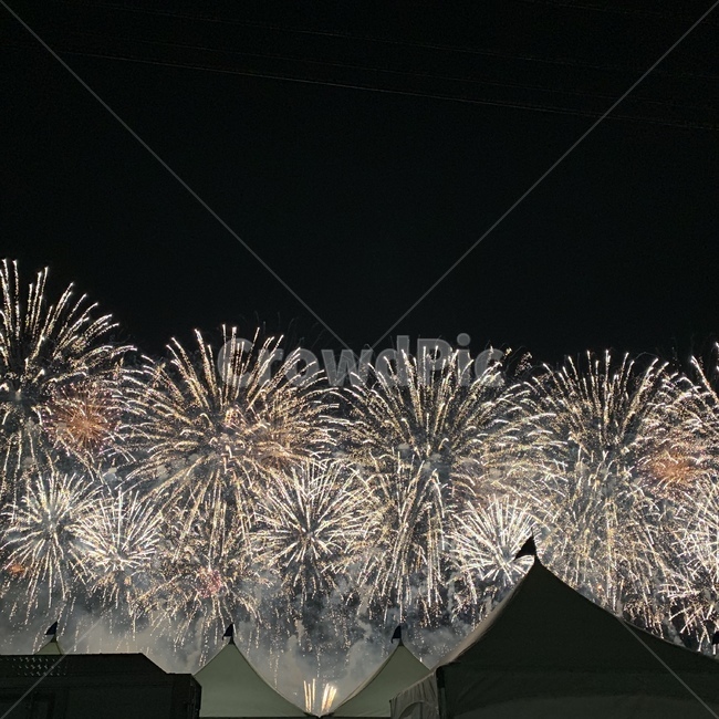 포항,불빛축제,불꽃,데이트,야경,축제,행사,festival,carnival,event