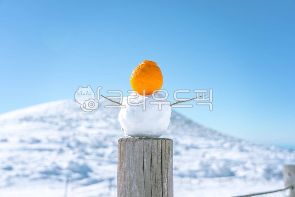 눈사람,한라봉,한라산,겨울,제주도,winter,눈,jeju,snow,sky,mountain,hill,nature,자연,outdoors,jejuisland,하얀,새하얀,파란,주황색,오렌지,과일,나무기둥,귀여운,겨울,계절,winter,season