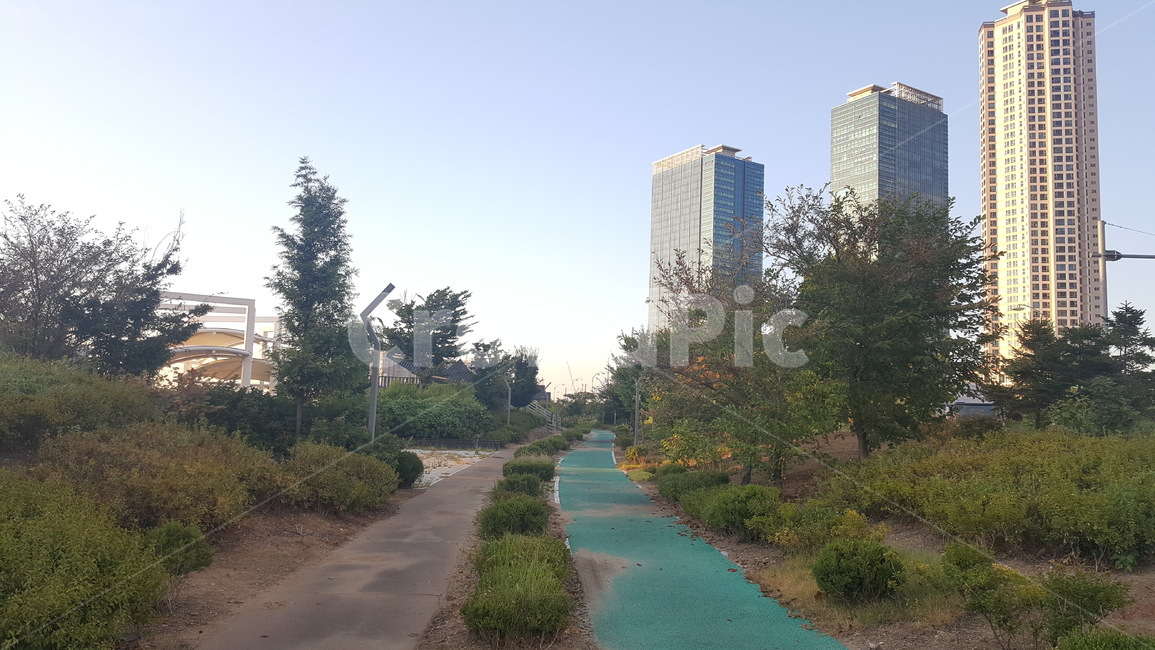 인천,송도,산책길,산책로,해질녘