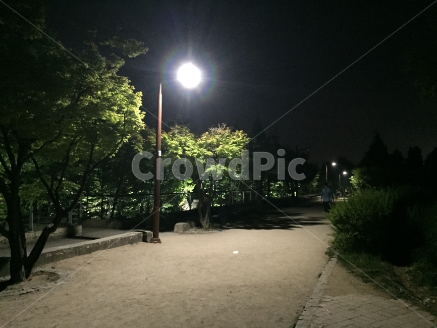선유도,밤풍경,가로등,산책길,밤공원,야경,밤,풍경,nightscape,night,landscape,lamp post,램프 포스트