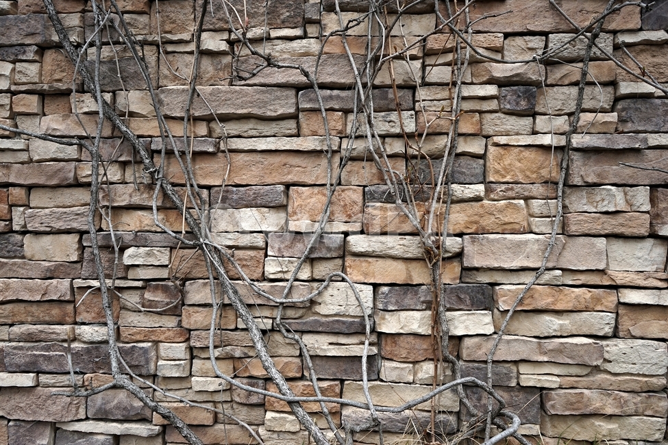 벽,벽돌,돌,돌벽돌,견고함,건축,건축재료,wall,brick,stonebrick,sturdy,단단함,견딤,조화,strong,solid,safety,식물,자연,plants,nature