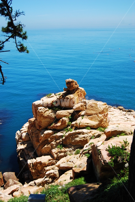 자연,바다,여름,풍경,대왕암,자연,풍경,nature,landscape,outdoors,옥외,promontory,곶
