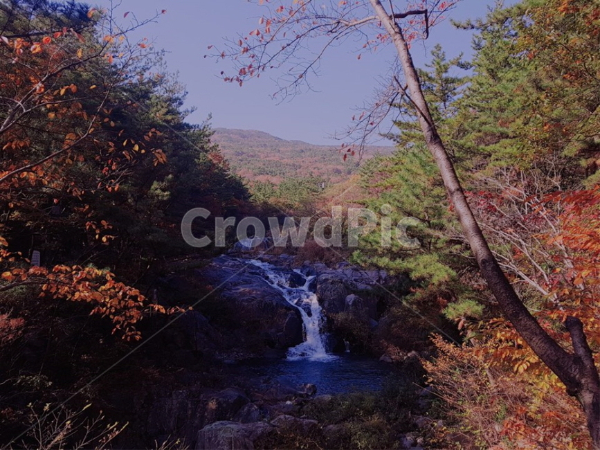 자연,폭포,가을,산,단풍,풍경,식물,plant,tree,water,물,개울,등산