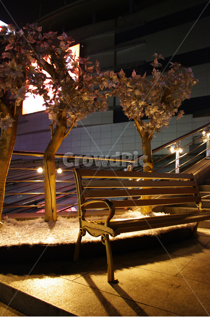 벤치,의자,빛,조명,밤,도시,나무,야경,밤,풍경,nightscape,night,landscape,banister,난간,handrail