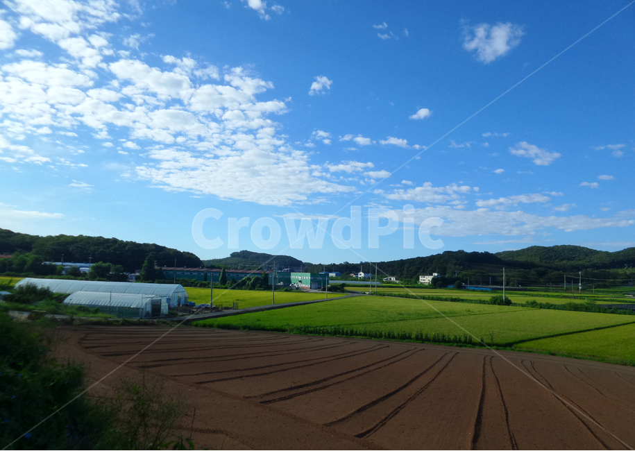 시골,풍경,하늘,논,밭,시골,마을,풍경,landscape,country,rural,town