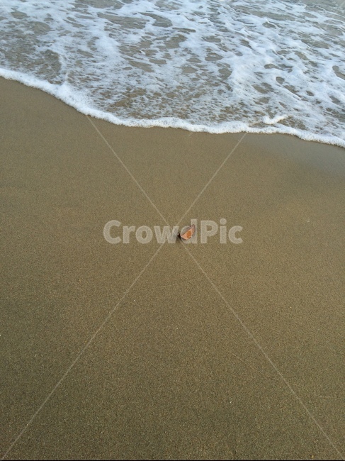 바다,물결,나뭇잎,파도,모래,모래사장,해변,바다,beach,sea