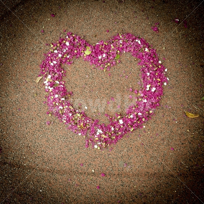 상림공원,여행,자연,조형물,지리산,함양,하트,꽃잎,사랑,마음,분홍,아스팔트,heart,flower,식물,자연,plants,nature,꽃,flower