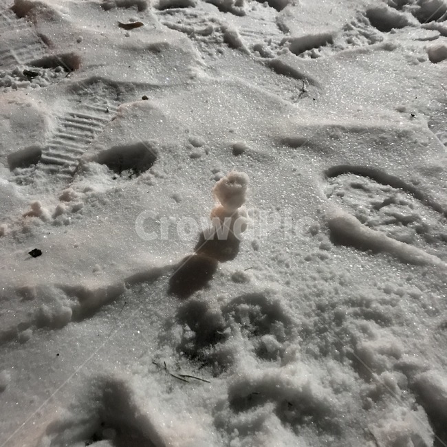 눈사람,겨울,미니눈사람,작은눈사람,러시아,폭설