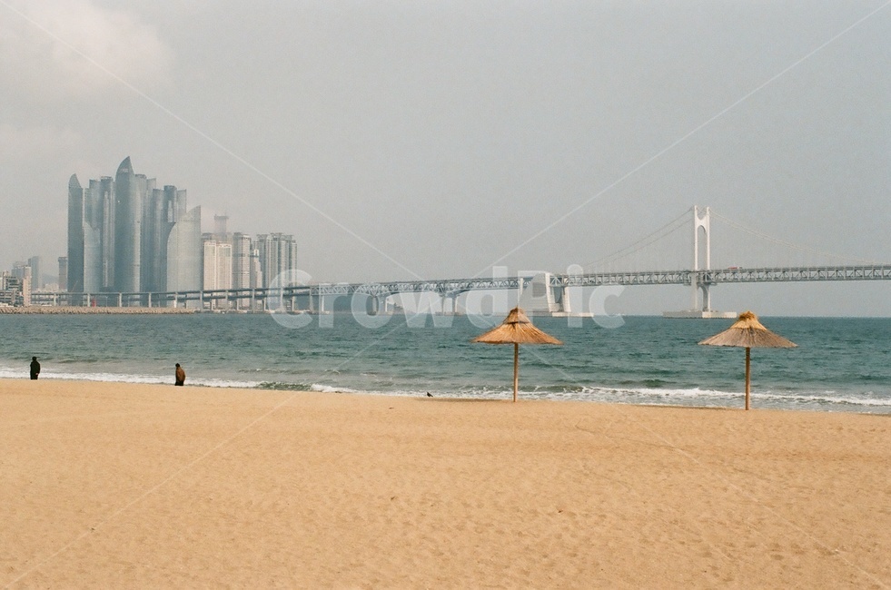 부산,광안리,해변,모래,바다,파도,필름,광안대교,다리,흐림,풍경,야외,겨울바다,해변,바다,beach,sea