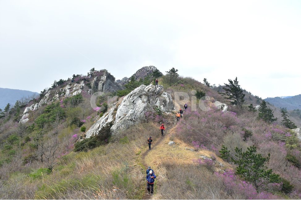 주작산,덕룡산,종주,진달래,풍경,기암,바위,비경,봄풍경,진달래꽃,강진,명산,산행,등산,마운틴,힐링,mountain,landscape,자연,natural,자연,풍경,nature,landscape,한국자연풍경,한국자연경관,korea nature landscape,사람들,대중,군중,other people,crowd,여행,휴가,traveling,vacation,trip,스포츠,레저,운동,sports,leisure,exercise,outdoors,옥외,person,사람,human,인간