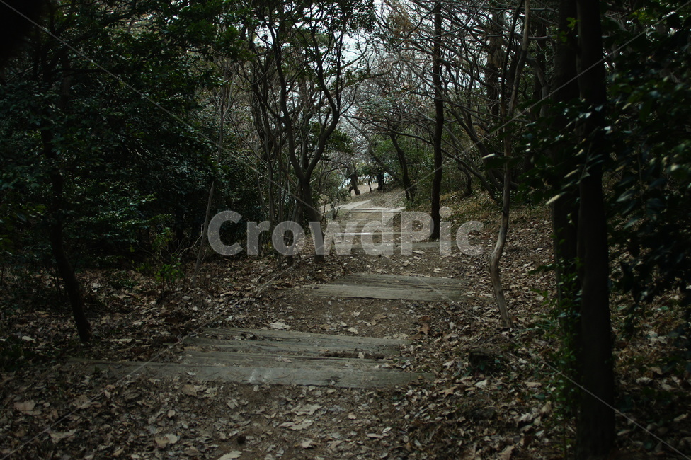 ground,흙길,gravel,바닥,자갈,path,통로,road,자연,풍경,nature,landscape,도로,dirt road