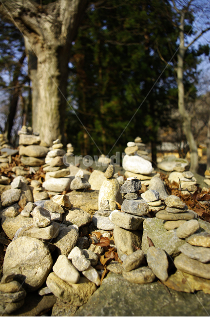 돌탑,나무,소원탑,돌,식물,자연,풍경,nature,landscape,rubble,파편