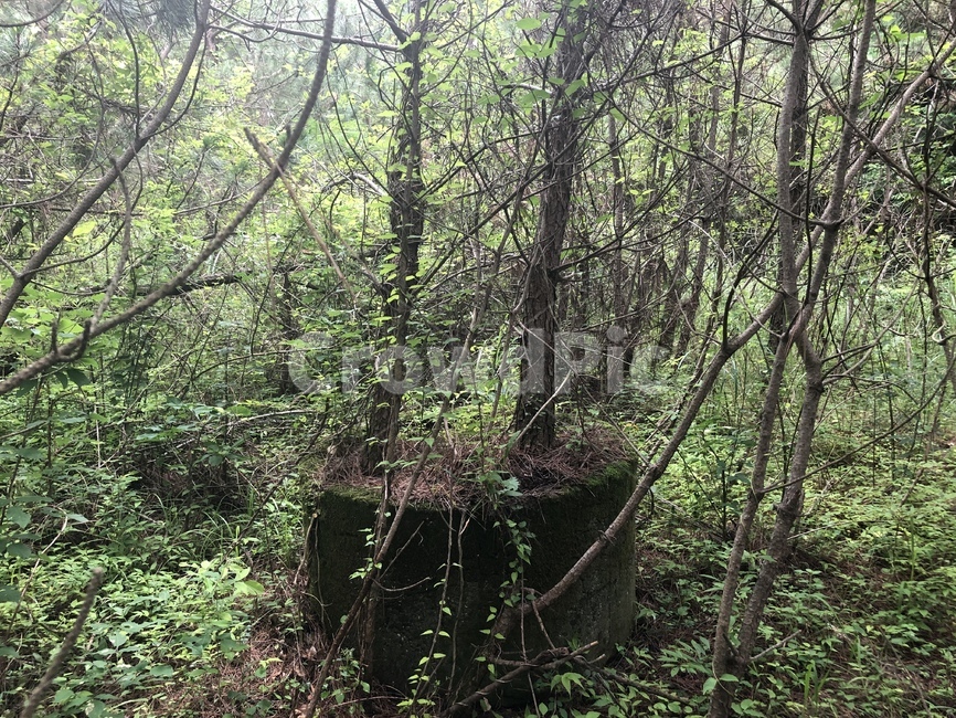버려진,우물,한라산중턱,한라산,숲속