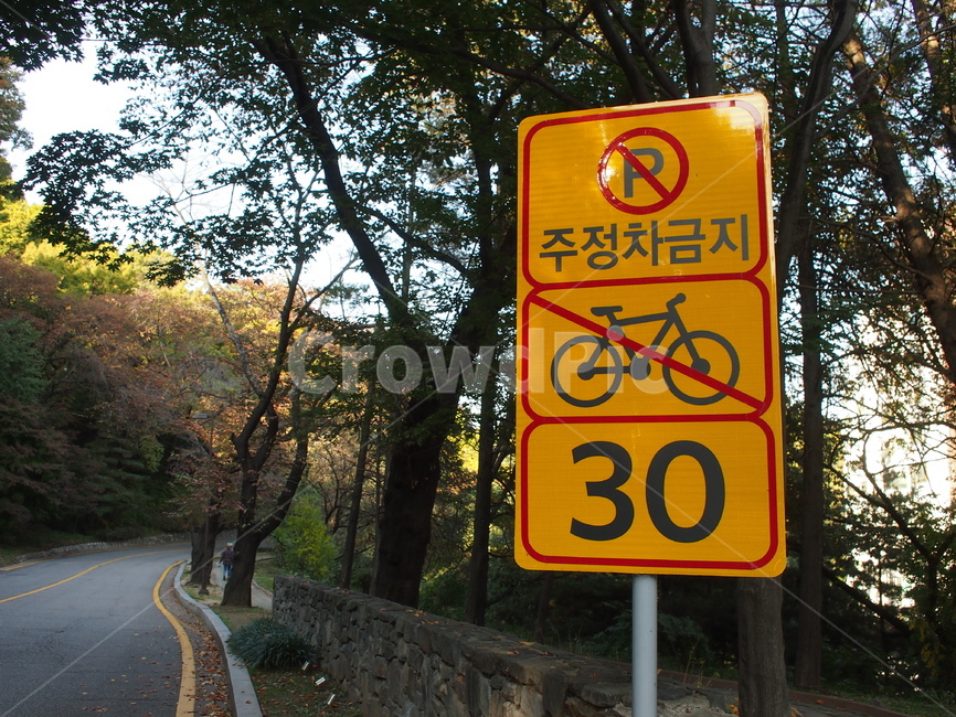 도로표지판,교통,주정차금지,자전거금지,속도제한,stop,roadsign,알림,표지판,orange,transportation,speedlimit