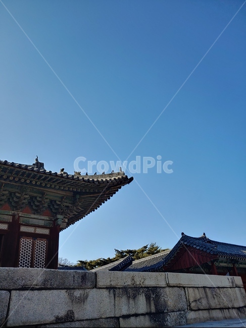 고궁,전통,하늘,문화,한국,한국전통,한국문화,korean traditional,korean culture,건축물,건물외관,exterior,building,structure,architecture,construction