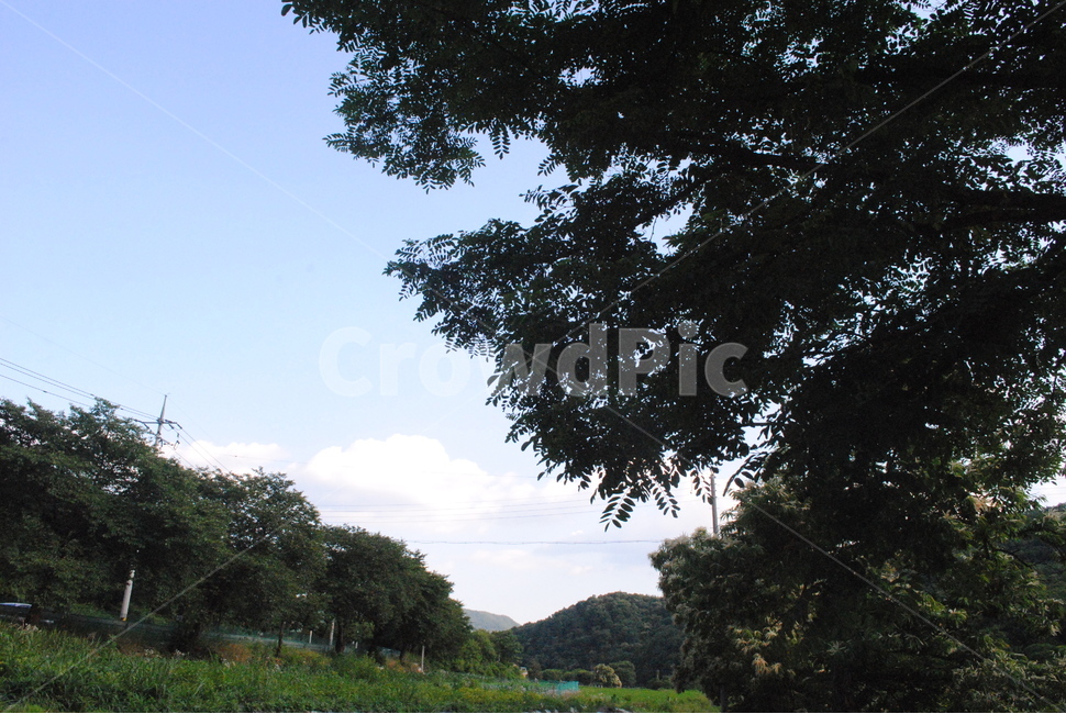 outdoors,옥외,하늘,나무,산,초원