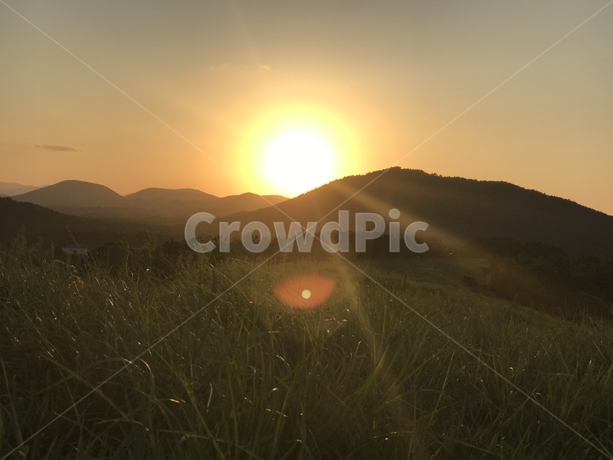 해,노을,햇빛,풀,들판,산,제주도,아부오름,wallpaper,배경화면,오름,자연,풍경,nature,landscape,flare,플레어,light,빛,sunlight