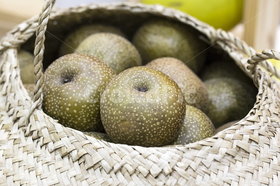 배,돌배,과일,열매,토종,과일,열매,fruit