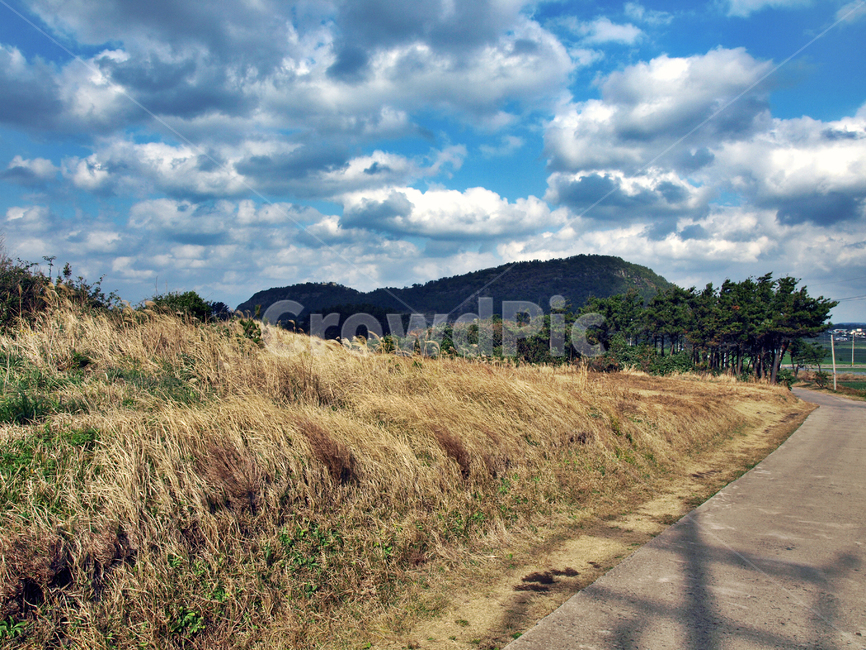 당산봉,올레12코스,올레길,제주,서귀포시,도로,자연,풍경,nature,landscape,road,outdoors,옥외