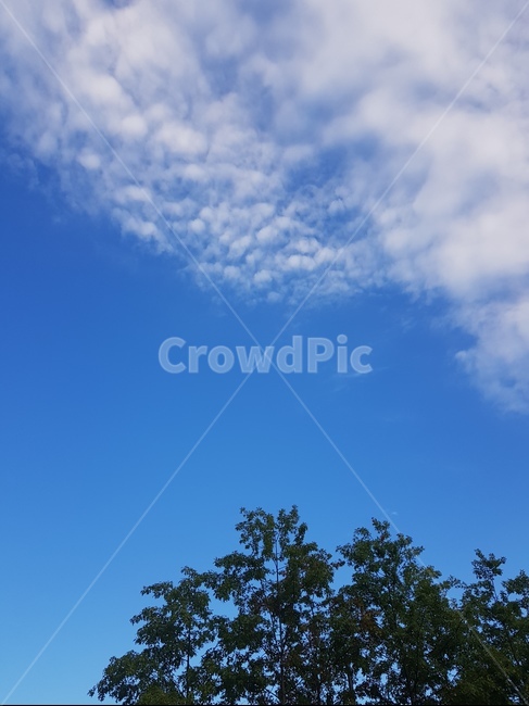 하늘,나무,자연,풍경,구름,오후,산책,청명한,푸른,sky,자연,풍경,nature,landscape,outdoors,옥외
