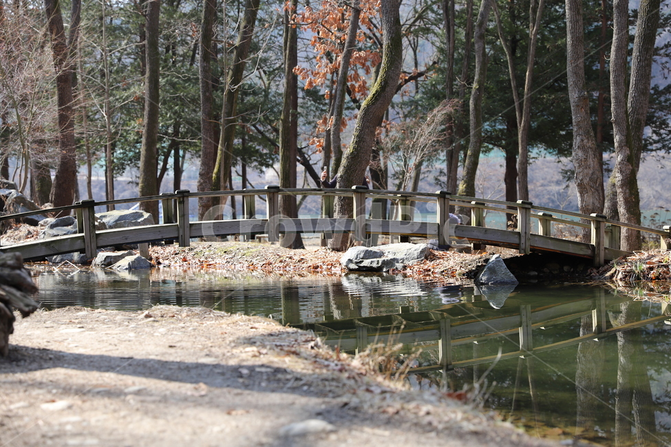 plant,식물,tree,나무,water,물