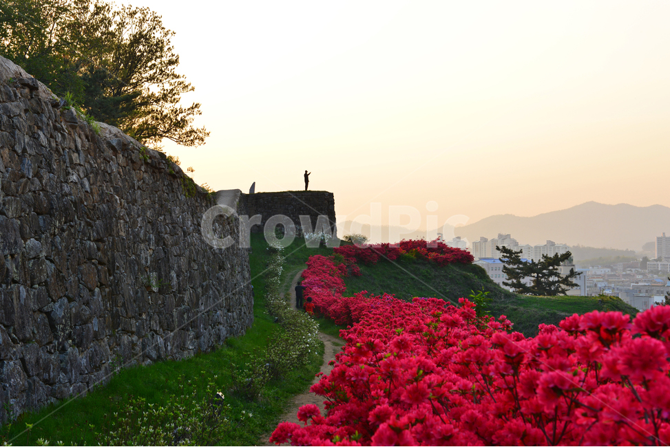 전북,고창,고창읍성,모양성,모양성봄,철뚝,철쭉꽃,봄,계절,outdoors,scenery,풍경,nature,자연
