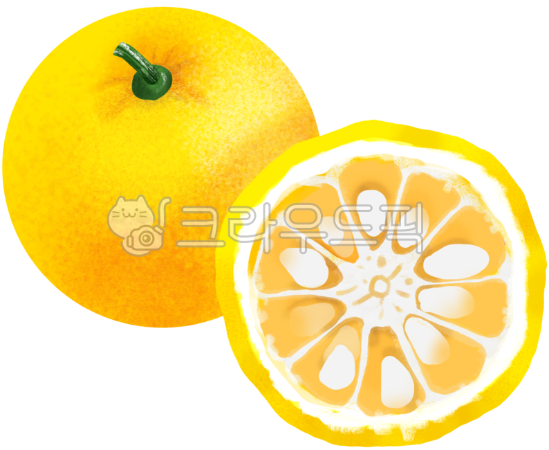 감귤류과일,fruit,과일,유자,음식