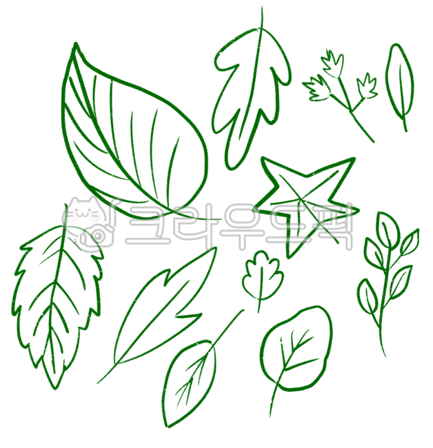 낙엽,가을,단풍,나뭇잎png,누끼,색칠도안,단풍잎,잎,이파리,나뭇잎,자연,풀,봄,자연관찰,색칠,손그림,색연필그림,스티커,아이콘,나뭇잎일러스트,라인,라인일러스트,일러스트,색칠공부