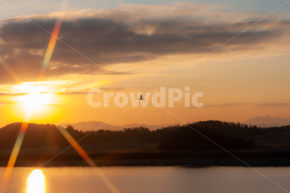 nature,자연,outdoors,옥외,sunlight,햇빛,flare,플레어,light,빛,일출,자연,풍경,nature,landscape