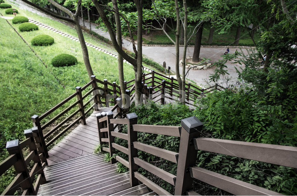 나무,풍경,계단,숲,감성,자연,풍경,nature,landscape,handrail,난간,banister,railing,garden,정원,outdoors,옥외,arbour,정자