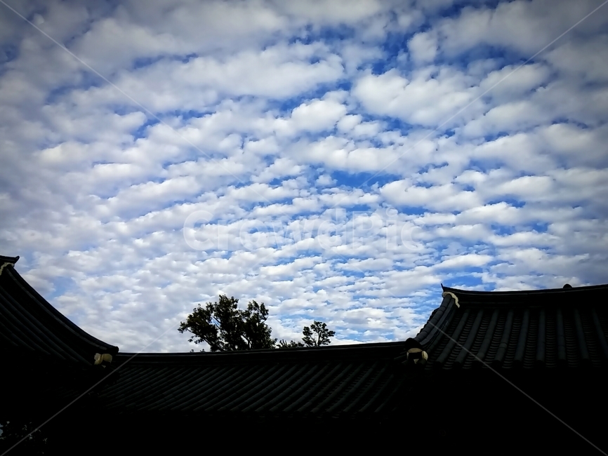 낙산사,하늘,지진운,파란하늘,힐링,한국전통,한국문화,korean traditional,korean culture,건축물,건물외관,exterior,building,structure,architecture,construction