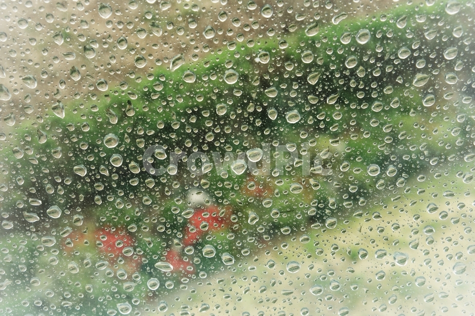 비,빗방울,풍경,창문,창,rain,raindrops,window,비,비오는날,rain,rainy