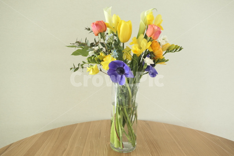 꽃다발,꽃꽂이,봄꽃,노란꽃,분홍꽃,꽃,flower,실내용화초,화분,화초,house plant