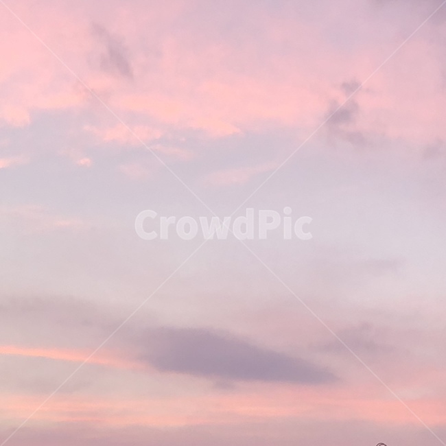 핑크하늘,하늘,노을,선셋,sunset,sky,예쁜하늘,감성,자연,분위기있는,pinksky,구름