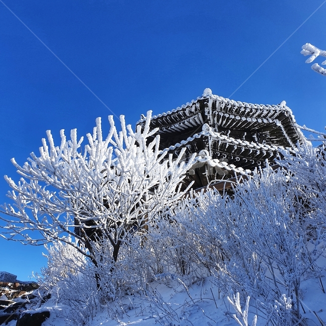 자연,눈,눈꽃,겨울,서리,덕유산,snow,ice,nature,frost,겨울,계절,winter,season