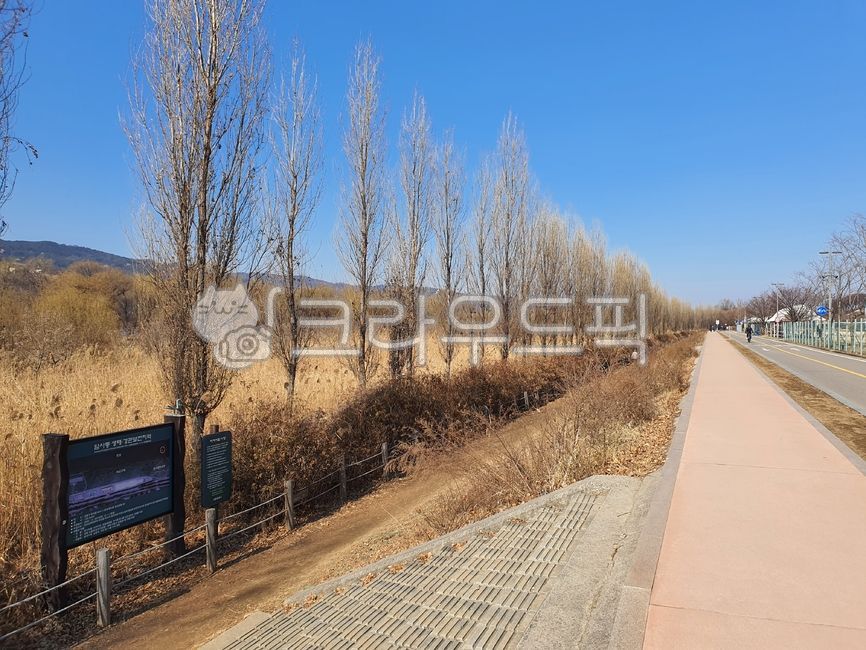 ecological park,vanishing point,path,Hangang Park,road,length,winter,winter tree,bare,Straight