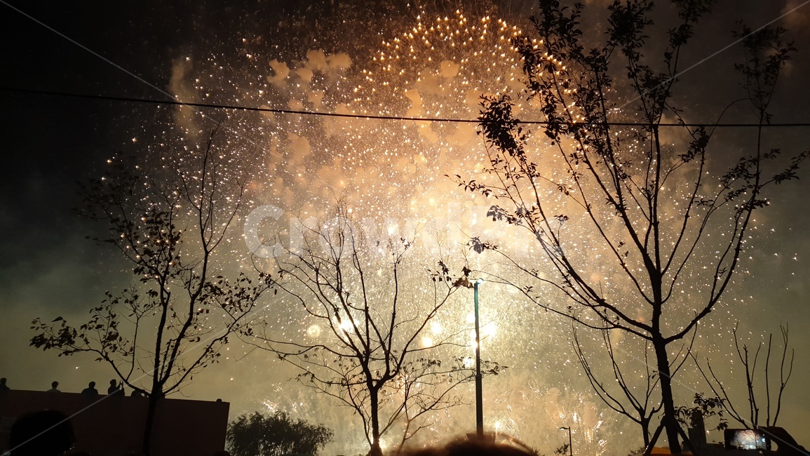 인간,사람,자연,불꽃,나무,축제,옥외,여의도,나이트,빛,플레어,human,nature,outdoors,night,fireworks,light,flare,축제,행사,festival,carnival,event
