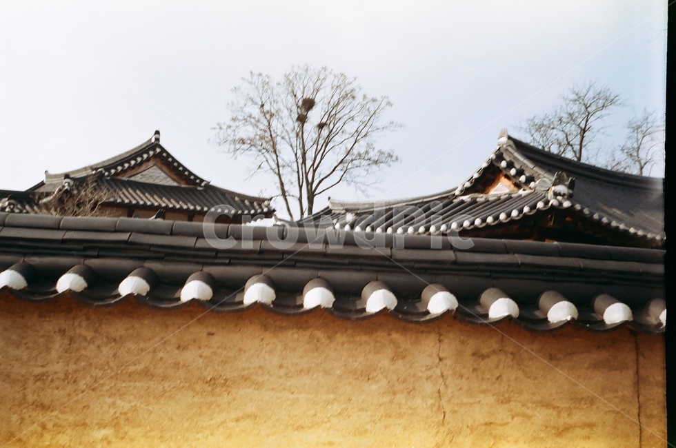 기와지붕,한옥,하회마을,필름사진,담벼락,감성,배경,안동,풍경,마을,roof,지붕,tileroof,가을