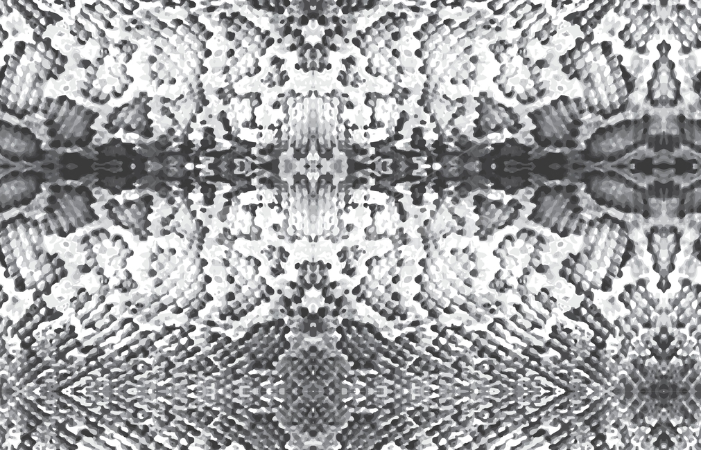 snakeprint,뱀무늬,animalprint,뱀,벡터,vector,nature,자연,패턴,그래픽,일러스트레이션,graphic,illustration,텍스처,질감,패턴,texture,pattern