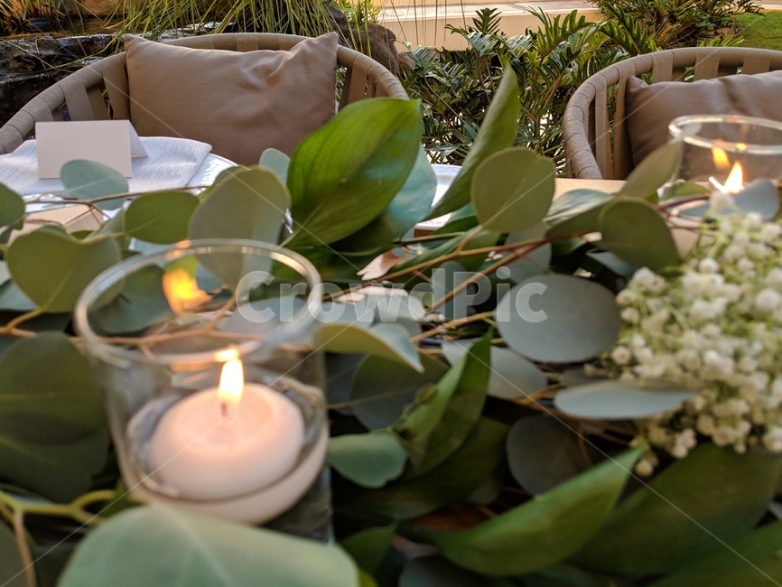 감성,분위기,촛불,양초,candle,테이블,장식,wedding,싱그러운,plant,초록,꽃장식,웨딩,nature