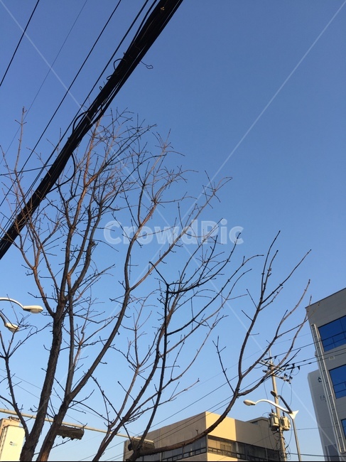 하늘,산책길,동네하늘,동네,전깃줄,맑음