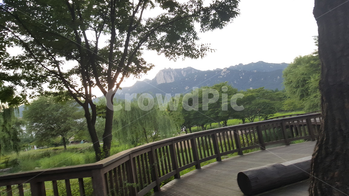 산,경치,울타리,자연,의자,벤치,야외,자연,풍경,nature,landscape,railing,난간