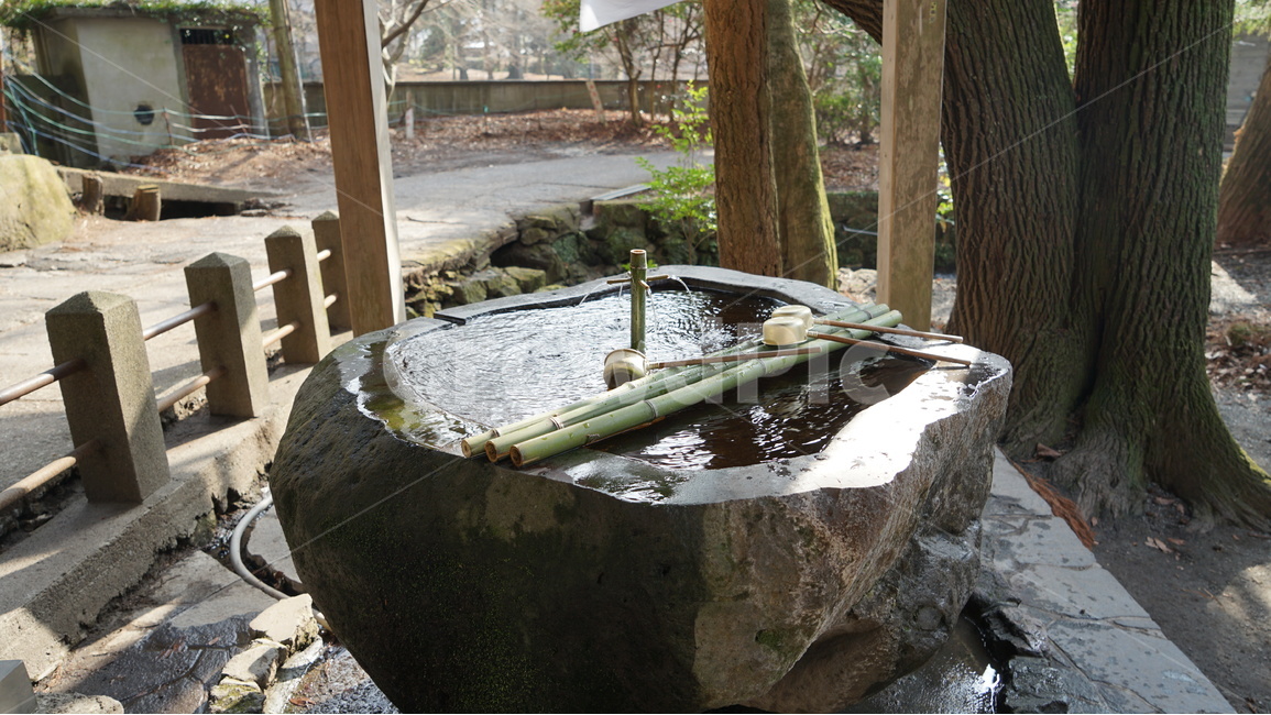 일본,일본문화,신사,물,조용함,해외,외국,세계,foreign,oversea,world,휴식,힐링,rest,relaxation,healing