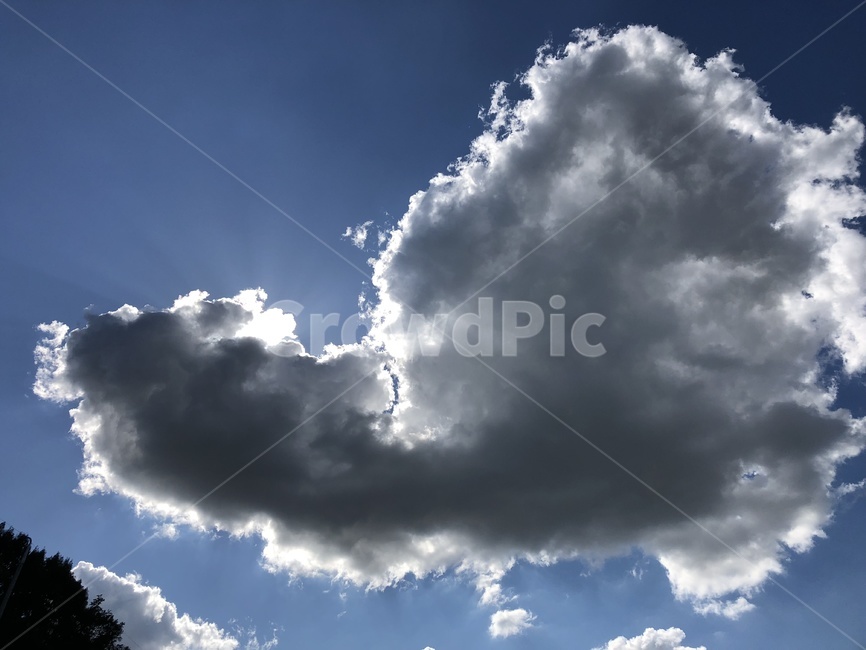 하트구름,하늘,날씨,하트,맑은하늘,cloud,sky,love,자연,풍경,nature,landscape,weather,cumulus,적운,outdoors,옥외,구름