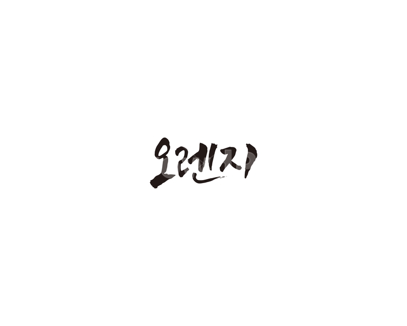 오렌지,과일,청과,캘리,캘리그라피,그래픽,일러스트레이션,graphic,illustration,캘리그라피,손글씨,calligraphy