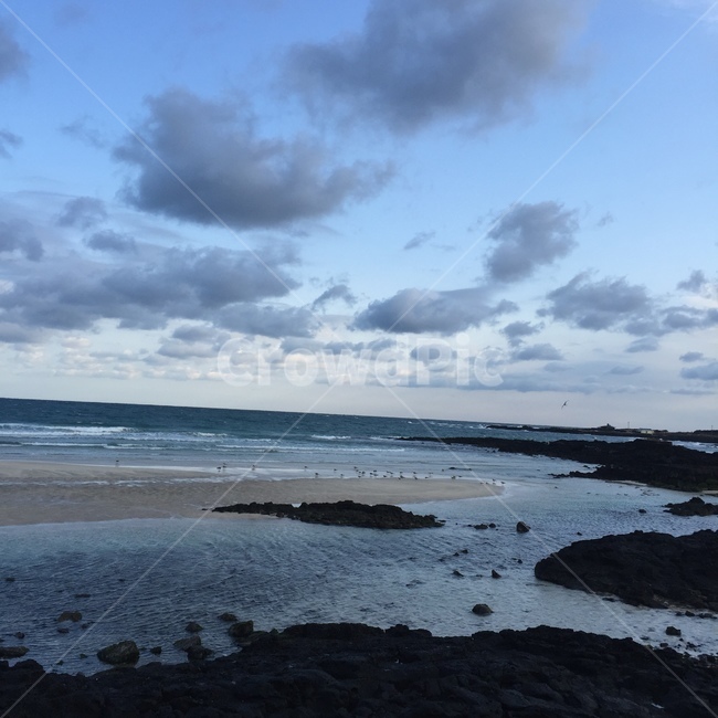 제주도,하늘,바다,파란,제주