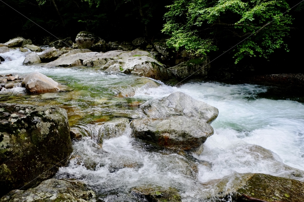 산,계곡,여름,자연,물,풍경,환경,자연,풍경,nature,landscape,여름,계절,summer,season,water,outdoors,옥외,stream,흐름,creek,작은 만
