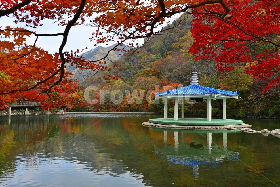 water,nature,자연,정읍,내장사,내장사추색,내장사가을,연못,정자,우화정,outdoors,tree,나무,plant,식물,maple,단풍,leaf,잎,가을,계절,딘풍잎,추색,추경,경치,경관,픙경,가을,계절,fall,autumn,season