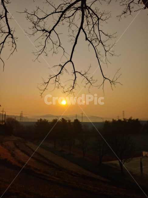 일출,해돋이,태양,옥외,자연,나무,붉은하늘,햇빛,하늘,빛,새벽,sunset,outdoors,sunlight,nature,redsky,sky